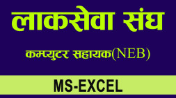 Excel NEB